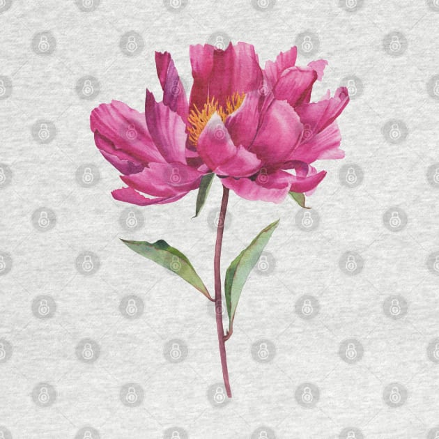 Watercolor pink peony painting by InnaPatiutko